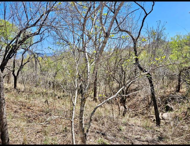 3,618,090M² FARM FOR SALE IN MODJADJISKLOOF